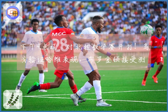 下午4点辽籃对北控教学赛开打！乌戈验证哈维表现，布罗金顿接受测试