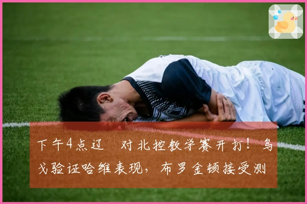 下午4点辽籃对北控教学赛开打！乌戈验证哈维表现，布罗金顿接受测试