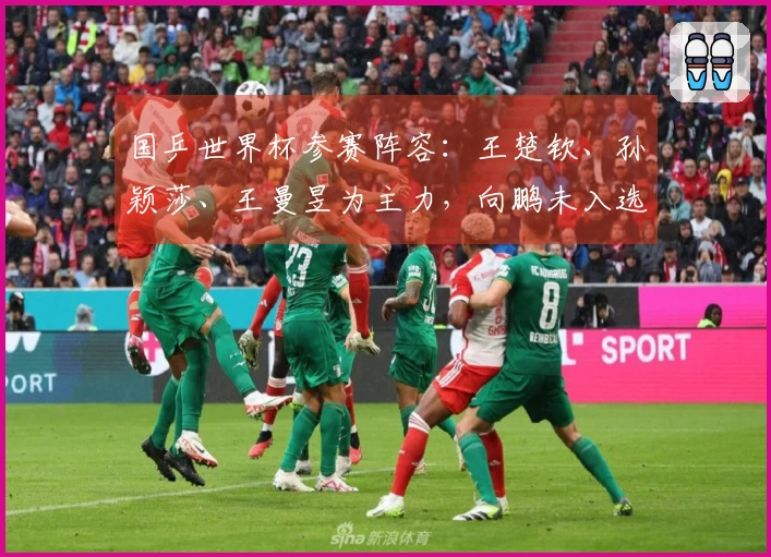 国乒世界杯参赛阵容：王楚钦、孙颖莎、王曼昱为主力，向鹏未入选